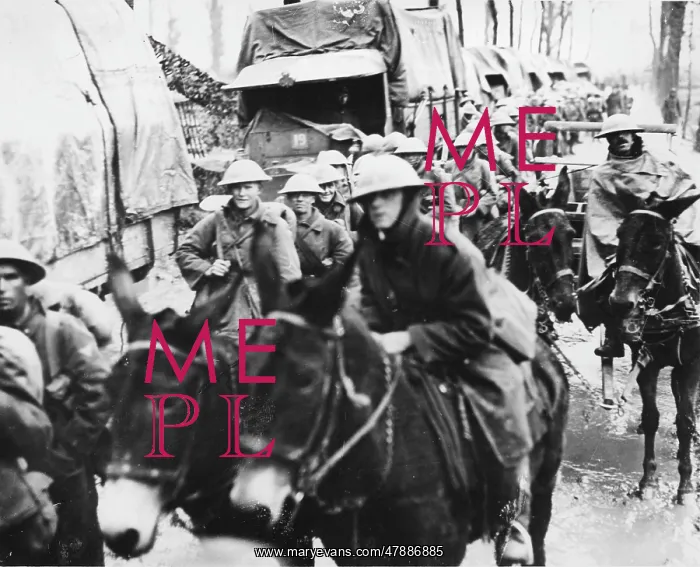 : Australian troops : Australian troops