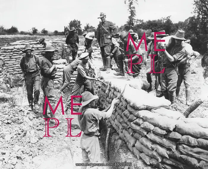 : Australian troops building trenches, Fleurbaix, France, WW1 : Australian troops building trenches, Fleurbaix, France, WW1
