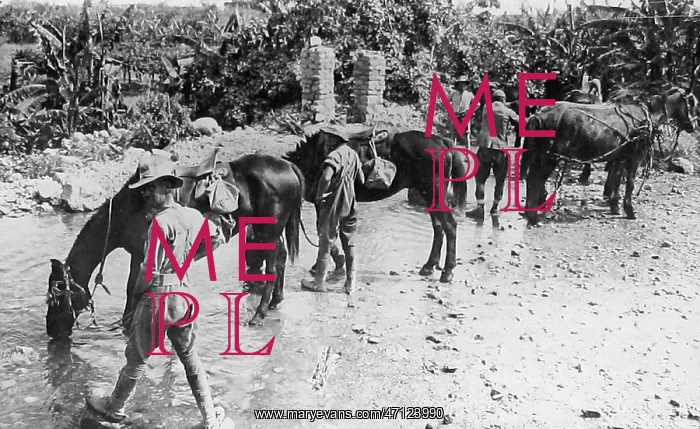  : Australian troops watering their horses during WW1