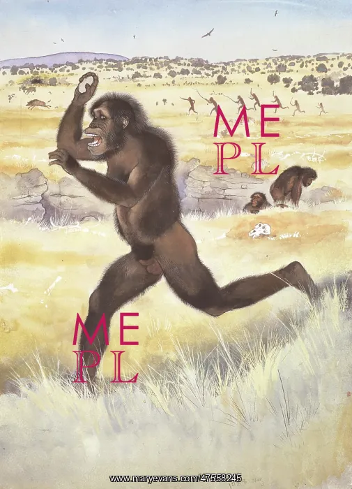 : Australopithecus africanus : Australopithecus africanus