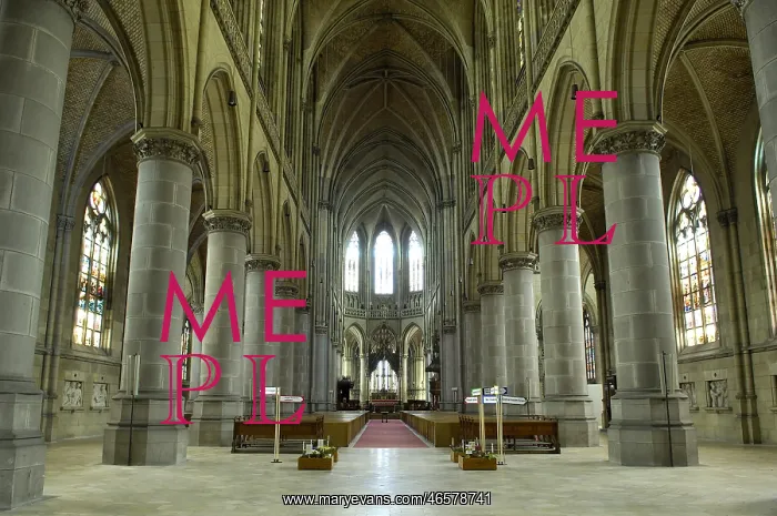 : AUSTRIA. Linz. New cathedral of the Immaculate : AUSTRIA. Linz. New cathedral of the Immaculate