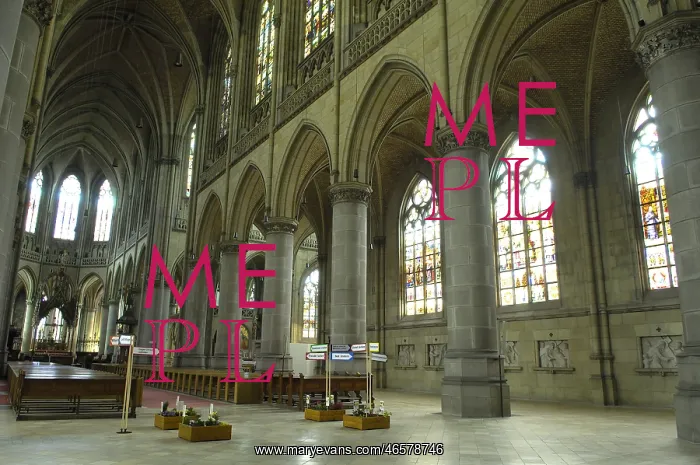 : AUSTRIA. Linz. New cathedral of the Immaculate : AUSTRIA. Linz. New cathedral of the Immaculate
