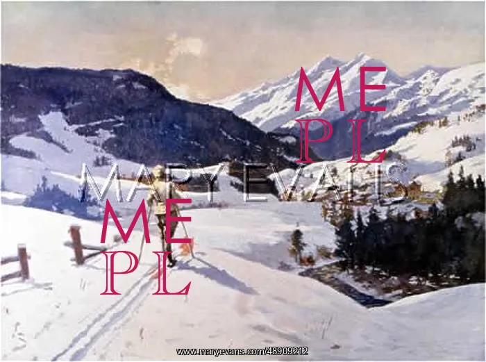  : AUSTRIA / ST ANTON 1909