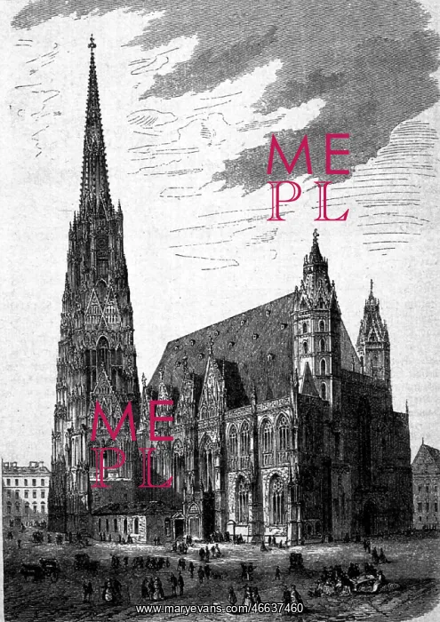 : Austria, Vienna, St. Stephen's cathedral, wood : Austria, Vienna, St. Stephen's cathedral, wood