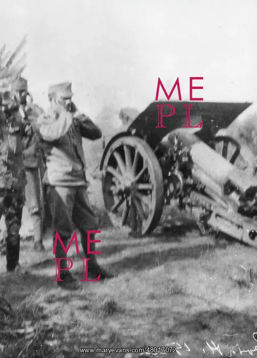 : Austrian 15cm howitzer in Galicia, Eastern Front, WW1 : Austrian 15cm howitzer in Galicia, Eastern Front, WW1