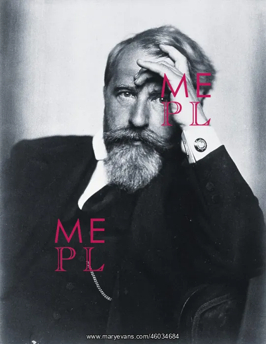 : The Austrian author Arthur Schnitzler : The Austrian author Arthur Schnitzler