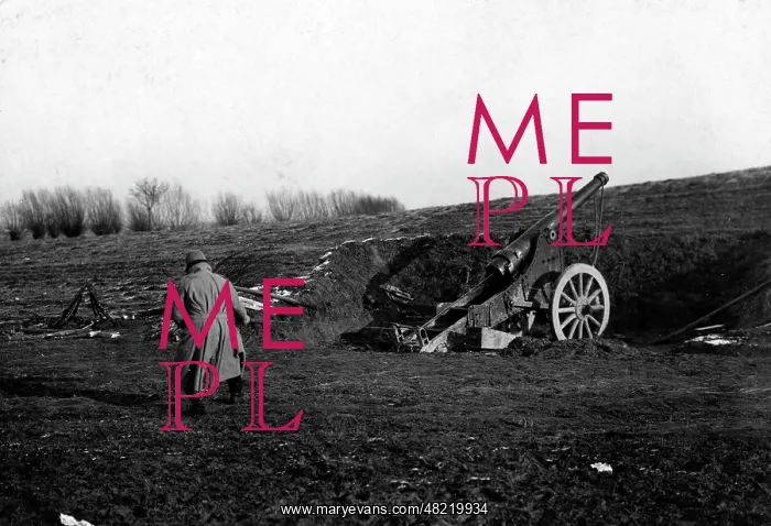 : Austrian cannon at the Eastern front, 1915 : Austrian cannon at the Eastern front, 1915