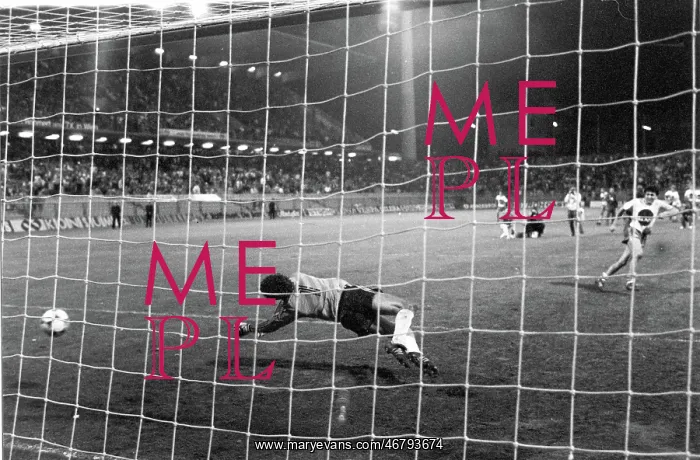 : Austrian football cup final. The decisive penalty : Austrian football cup final. The decisive penalty