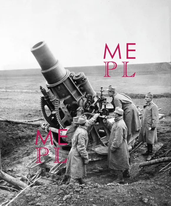 : Austrian howitzer at Siemakowce, Galicia, WW1 : Austrian howitzer at Siemakowce, Galicia, WW1