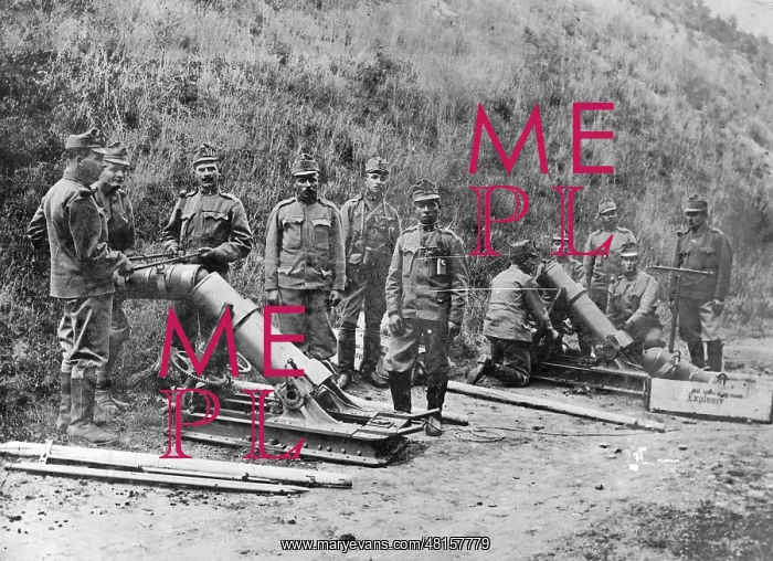  : Austrian mortars at the front in Italy during the First Worl