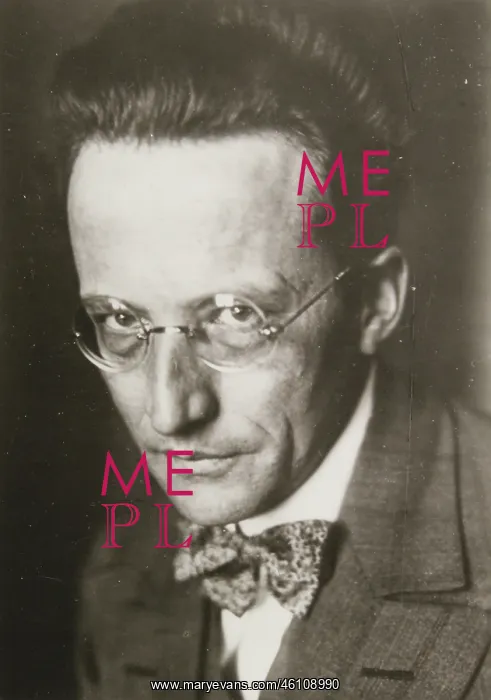 : The Austrian physicist Erwin Schrodinger : The Austrian physicist Erwin Schrodinger