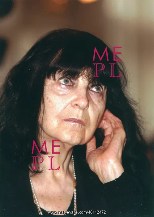  : The Austrian poet Friederike Mayrocker