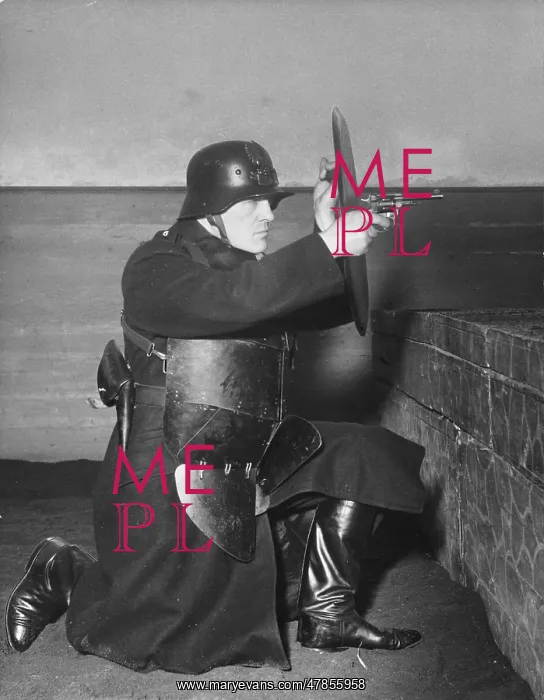  : Austrian policeman - Anschluss