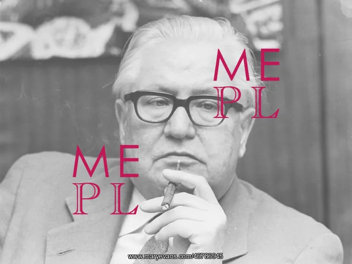 : Austrian politician Bruno Pittermann : Austrian politician Bruno Pittermann