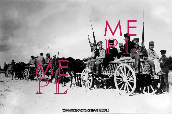 : Austrian prisoners are transported, 1914 : Austrian prisoners are transported, 1914