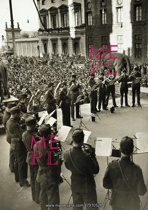  : Austrian regiment Anschluss