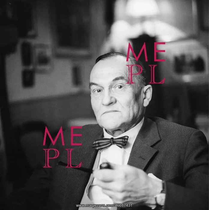 : Austrian writer Heimito von Doderer. 1966. Photograph : Austrian writer Heimito von Doderer. 1966. Photograph