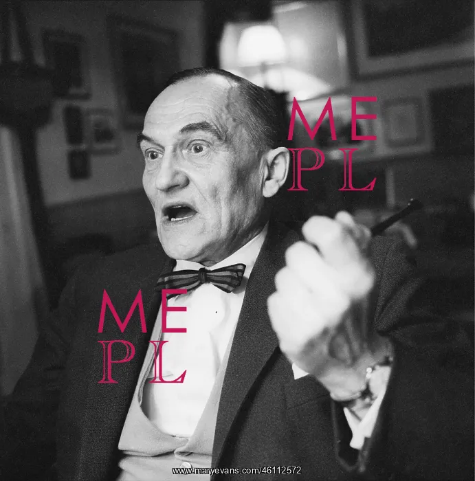 : Austrian writer Heimito von Doderer. 1966. Photograph : Austrian writer Heimito von Doderer. 1966. Photograph