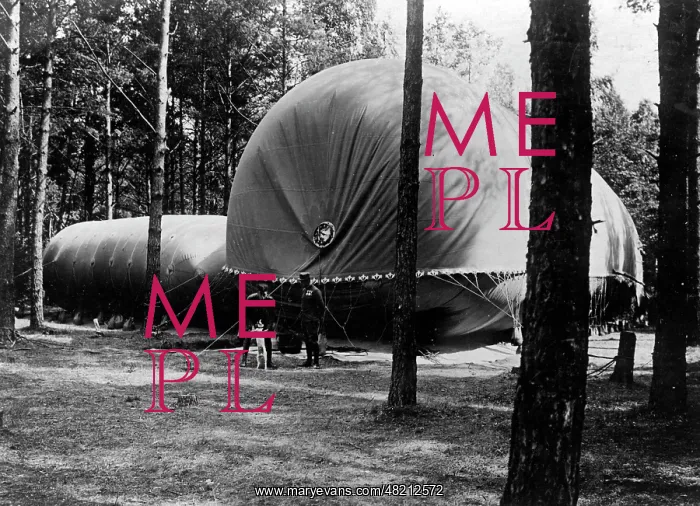: Austro-Hungarian balloon in a forest, 1918 : Austro-Hungarian balloon in a forest, 1918