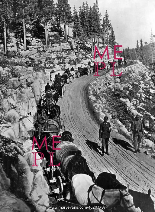 : The Austro-Hungarian southwestern front, 1918 : The Austro-Hungarian southwestern front, 1918