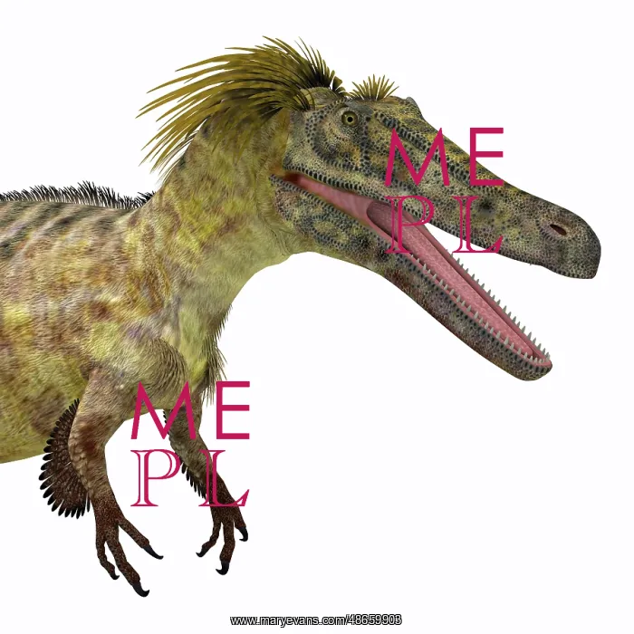 : Austroraptor dinosaur head : Austroraptor dinosaur head