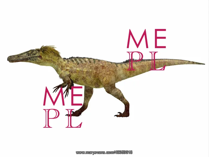 : Austroraptor dinosaur, side profile : Austroraptor dinosaur, side profile