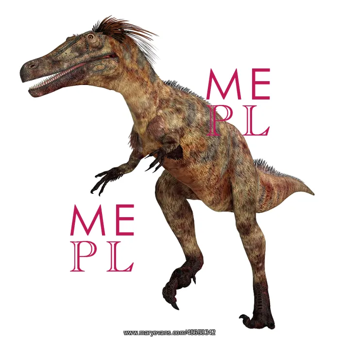 : Austroraptor dinosaur, side view on white background : Austroraptor dinosaur, side view on white background