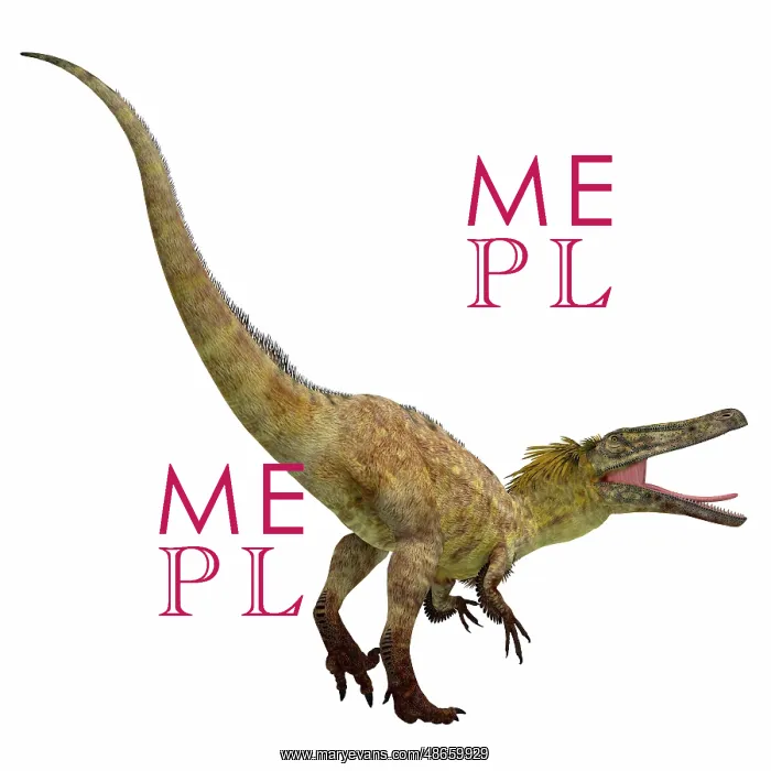 : Austroraptor dinosaur on white background : Austroraptor dinosaur on white background