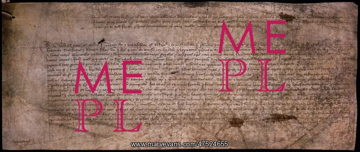 : Authority from Henry VII : Authority from Henry VII