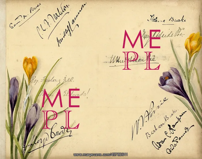 : Autographs on card with flowers : Autographs on card with flowers
