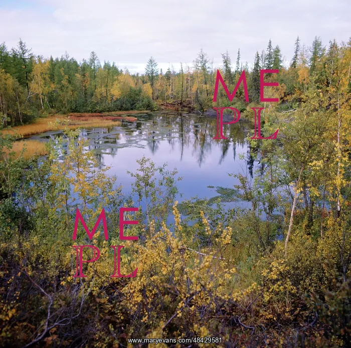 : Autumn colors, 1977 : Autumn colors, 1977