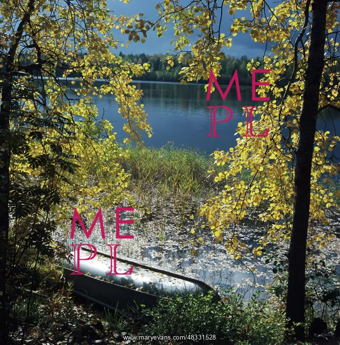 : Autumn colors, 1980 : Autumn colors, 1980