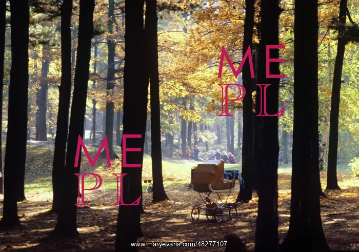 : Autumn colors, 1981 : Autumn colors, 1981