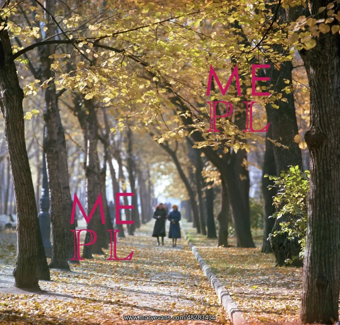  : Autumn colors, 1981