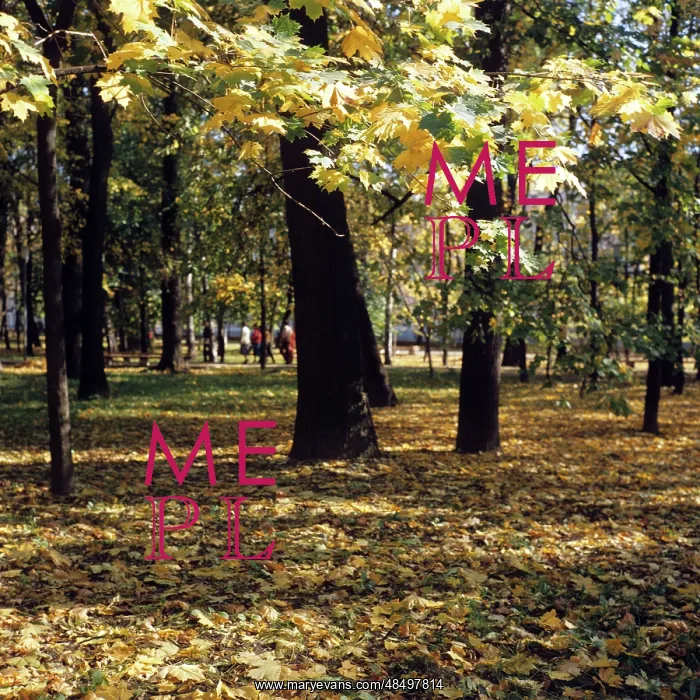 : Autumn colors, 1981 : Autumn colors, 1981