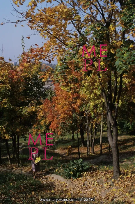 : Autumn colors, 1983 : Autumn colors, 1983