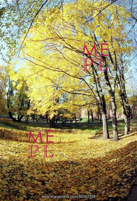 : Autumn colors, 1997 : Autumn colors, 1997