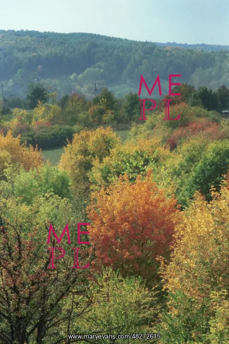 : Autumn colours, 1999 : Autumn colours, 1999