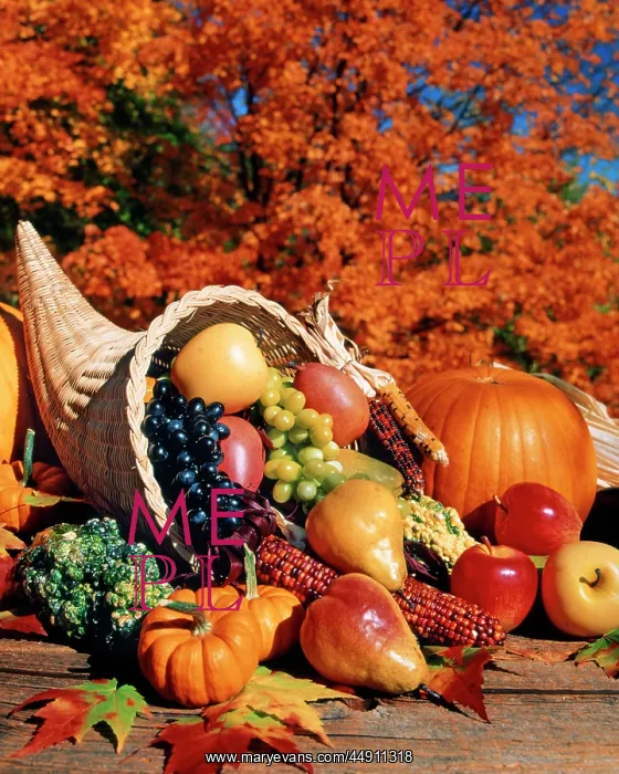  : Autumn Cornucopia Filled with Fruit