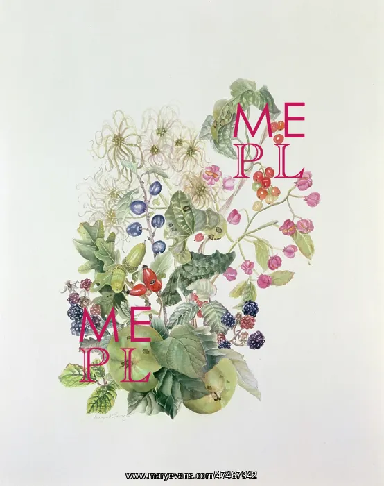 : Autumn design ??apples, acorns, brambles etc : Autumn design ??apples, acorns, brambles etc