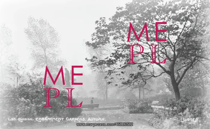 : Autumn in Embankment Gardens : Autumn in Embankment Gardens
