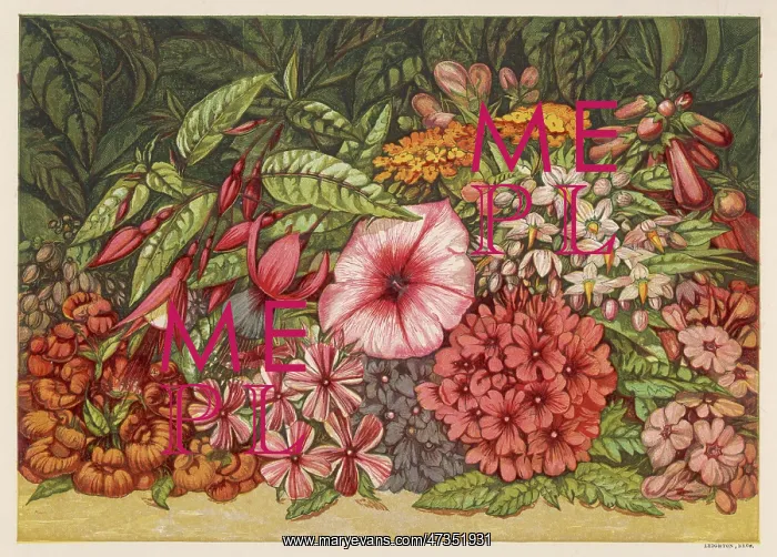 : AUTUMN FLOWERS 1866 : AUTUMN FLOWERS 1866