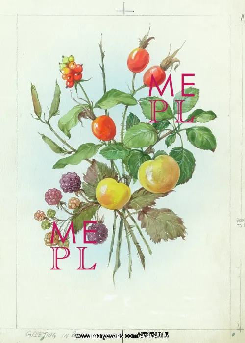  : Autumn fruit and berries