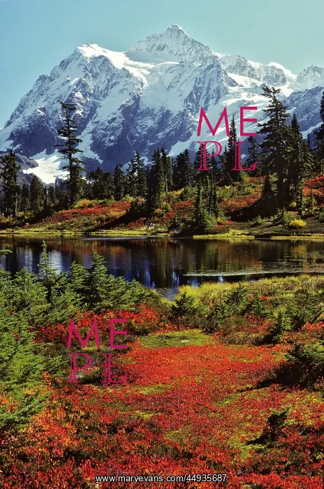: Autumn in Heather Meadows Summit Pyramid Mount Shuksan No : Autumn in Heather Meadows Summit Pyramid Mount Shuksan No