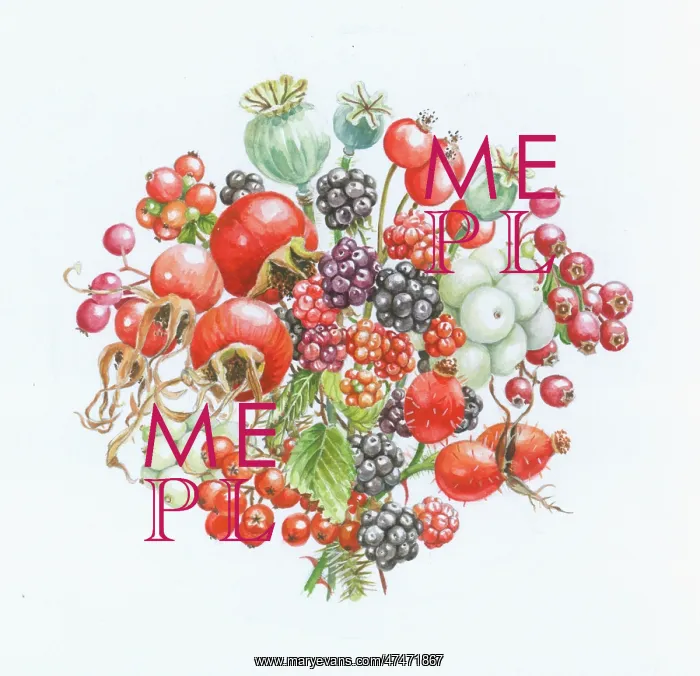  : Autumn Hips, Haws and Berries - with blackberries