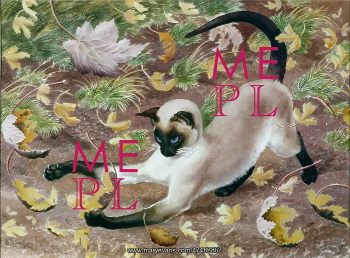 : Autumn Kitten : Autumn Kitten