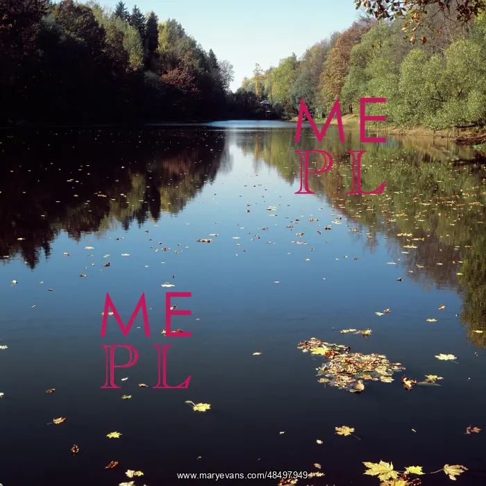 : Autumn landscape, 1981 : Autumn landscape, 1981