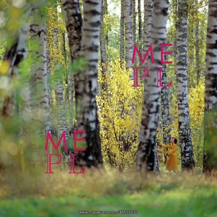 : Autumn landscape, 1981 : Autumn landscape, 1981