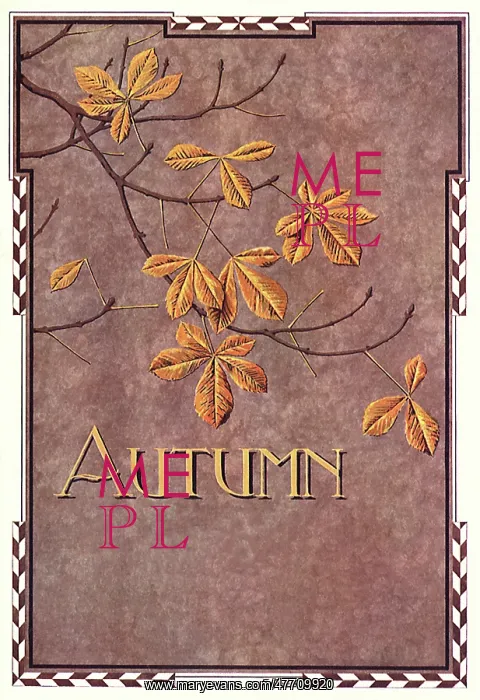  : Autumn Leaves