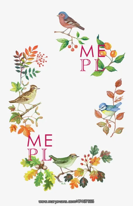 : Autumn Leaves and Berries with Four Birds : Autumn Leaves and Berries with Four Birds
